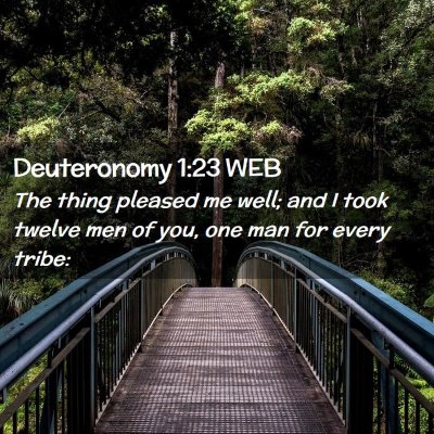Picture 02 - Deuteronomy 1:23 WEB - The thing pleased me well; and I took twelve men - Bible Verse Picture