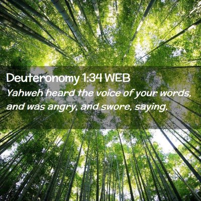 Picture 02 - Deuteronomy 1:34 WEB - Yahweh heard the voice of your words, and was - Bible Verse Picture