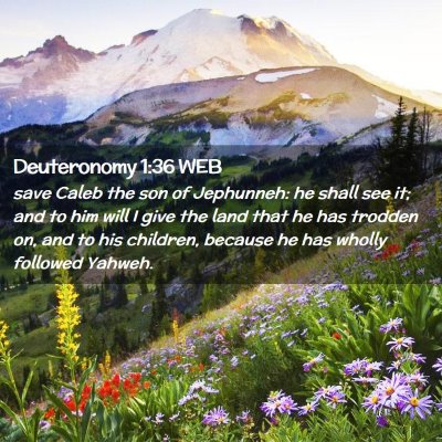 Picture 02 - Deuteronomy 1:36 WEB - save Caleb the son of Jephunneh: he shall see it; - Bible Verse Picture