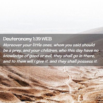 Picture 02 - Deuteronomy 1:39 WEB - Moreover your little ones, whom you said should - Bible Verse Picture
