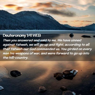 Picture 02 - Deuteronomy 1:41 WEB - Then you answered and said to me, We have sinned - Bible Verse Picture
