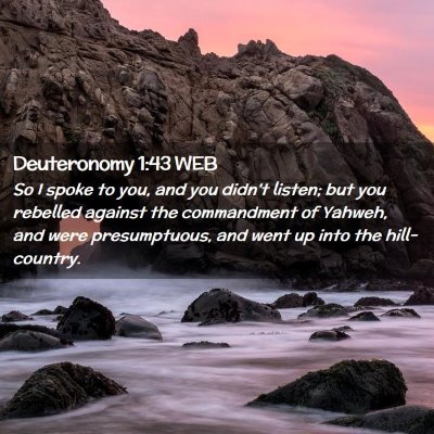 Picture 02 - Deuteronomy 1:43 WEB - So I spoke to you, and you didn't listen; but you - Bible Verse Picture