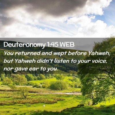 Picture 02 - Deuteronomy 1:45 WEB - You returned and wept before Yahweh; but Yahweh - Bible Verse Picture