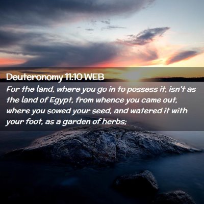 Picture 02 - Deuteronomy 11:10 WEB - For the land, where you go in to possess it, - Bible Verse Picture
