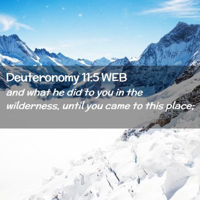 Picture 02 - Deuteronomy 11:5 WEB - and what he did to you in the wilderness, until - Bible Verse Picture