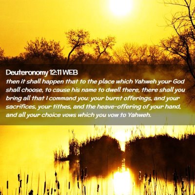 Picture 02 - Deuteronomy 12:11 WEB - then it shall happen that to the place which - Bible Verse Picture