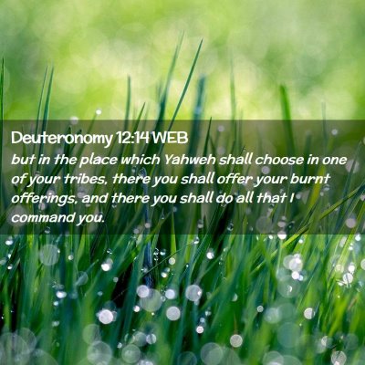 Picture 02 - Deuteronomy 12:14 WEB - but in the place which Yahweh shall choose in one - Bible Verse Picture