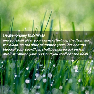 Picture 02 - Deuteronomy 12:27 WEB - and you shall offer your burnt offerings, the - Bible Verse Picture