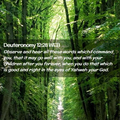 Picture 02 - Deuteronomy 12:28 WEB - Observe and hear all these words which I command - Bible Verse Picture