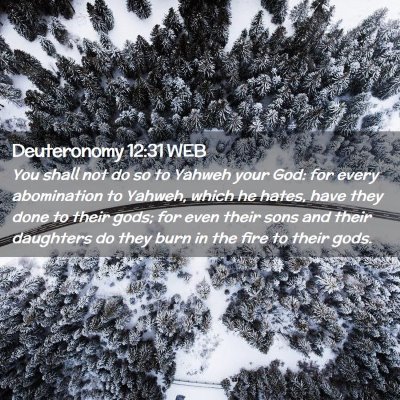 Picture 02 - Deuteronomy 12:31 WEB - You shall not do so to Yahweh your God: for every - Bible Verse Picture