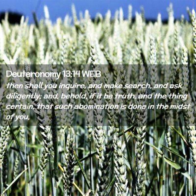Picture 02 - Deuteronomy 13:14 WEB - then shall you inquire, and make search, and ask - Bible Verse Picture