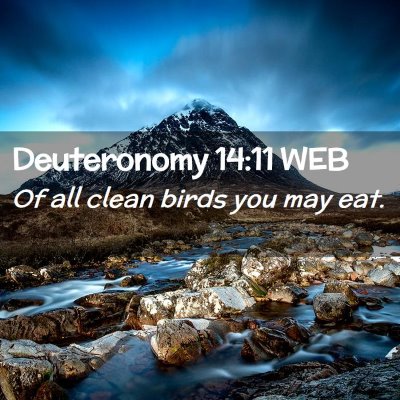 Picture 02 - Deuteronomy 14:11 WEB - Of all clean birds you may - Bible Verse Picture