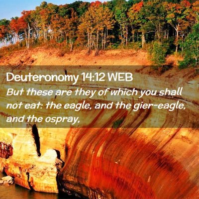 Picture 02 - Deuteronomy 14:12 WEB - But these are they of which you shall not eat: - Bible Verse Picture