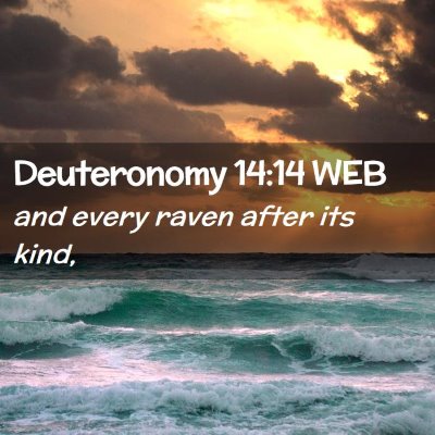 Picture 02 - Deuteronomy 14:14 WEB - and every raven after its - Bible Verse Picture