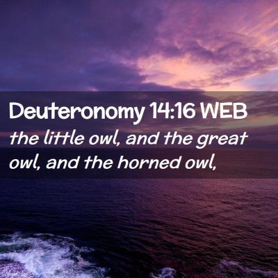 Picture 02 - Deuteronomy 14:16 WEB - the little owl, and the great owl, and the horned - Bible Verse Picture