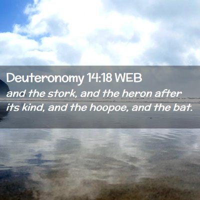 Picture 02 - Deuteronomy 14:18 WEB - and the stork, and the heron after its kind, and - Bible Verse Picture