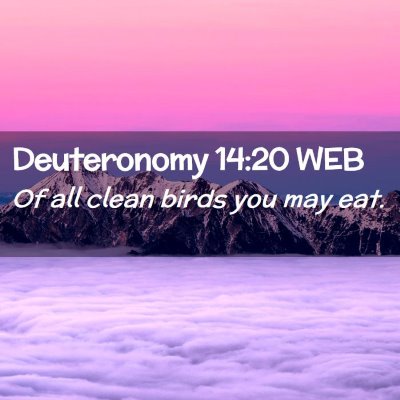 Picture 02 - Deuteronomy 14:20 WEB - Of all clean birds you may - Bible Verse Picture