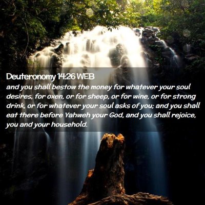 Picture 02 - Deuteronomy 14:26 WEB - and you shall bestow the money for whatever your - Bible Verse Picture