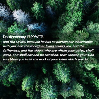 Picture 02 - Deuteronomy 14:29 WEB - and the Levite, because he has no portion nor - Bible Verse Picture