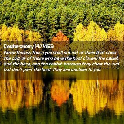 Picture 02 - Deuteronomy 14:7 WEB - Nevertheless these you shall not eat of them that - Bible Verse Picture