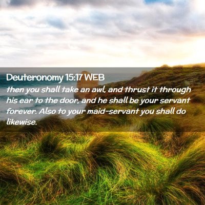 Picture 02 - Deuteronomy 15:17 WEB - then you shall take an awl, and thrust it through - Bible Verse Picture