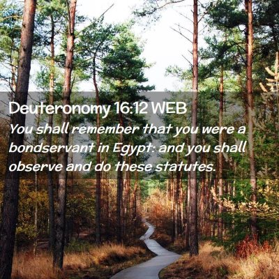 Picture 02 - Deuteronomy 16:12 WEB - You shall remember that you were a bondservant in - Bible Verse Picture