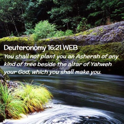 Picture 02 - Deuteronomy 16:21 WEB - You shall not plant you an Asherah of any kind of - Bible Verse Picture