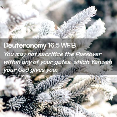 Picture 02 - Deuteronomy 16:5 WEB - You may not sacrifice the Passover within any of - Bible Verse Picture