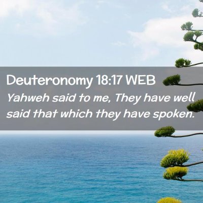 Picture 02 - Deuteronomy 18:17 WEB - Yahweh said to me, They have well said that which - Bible Verse Picture