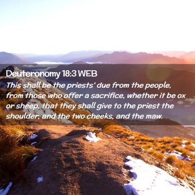 Picture 02 - Deuteronomy 18:3 WEB - This shall be the priests' due from the people, - Bible Verse Picture