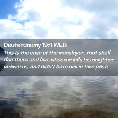 Picture 02 - Deuteronomy 19:4 WEB - This is the case of the manslayer, that shall - Bible Verse Picture