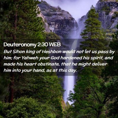 Picture 02 - Deuteronomy 2:30 WEB - But Sihon king of Heshbon would not let us pass - Bible Verse Picture