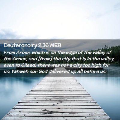 Picture 02 - Deuteronomy 2:36 WEB - From Aroer, which is on the edge of the valley of - Bible Verse Picture