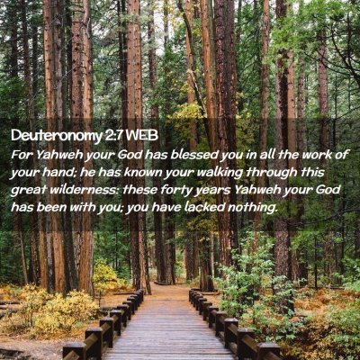 Picture 02 - Deuteronomy 2:7 WEB - For Yahweh your God has blessed you in all the - Bible Verse Picture