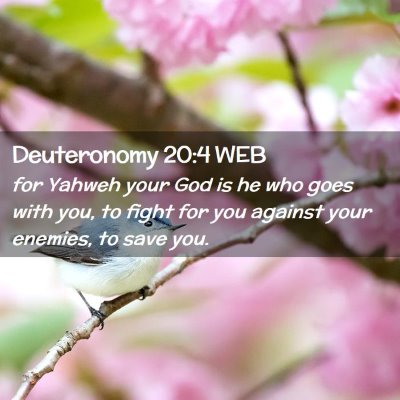 Picture 02 - Deuteronomy 20:4 WEB - for Yahweh your God is he who goes with you, to - Bible Verse Picture