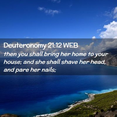 Picture 02 - Deuteronomy 21:12 WEB - then you shall bring her home to your house; and - Bible Verse Picture