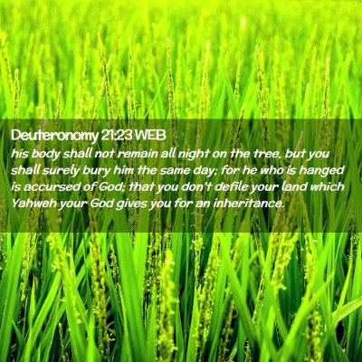 Picture 02 - Deuteronomy 21:23 WEB - his body shall not remain all night on the tree, - Bible Verse Picture