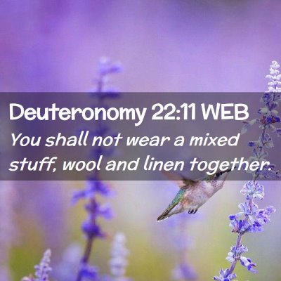 Picture 02 - Deuteronomy 22:11 WEB - You shall not wear a mixed stuff, wool and linen - Bible Verse Picture
