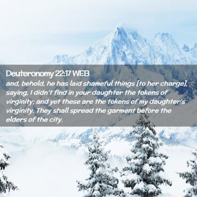 Picture 02 - Deuteronomy 22:17 WEB - and, behold, he has laid shameful things [to her - Bible Verse Picture
