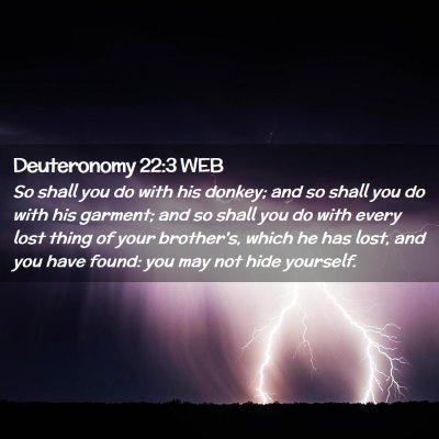 Picture 02 - Deuteronomy 22:3 WEB - So shall you do with his donkey; and so shall you - Bible Verse Picture