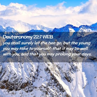 Picture 02 - Deuteronomy 22:7 WEB - you shall surely let the hen go, but the young - Bible Verse Picture