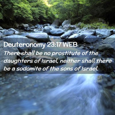 Picture 02 - Deuteronomy 23:17 WEB - There shall be no prostitute of the daughters of - Bible Verse Picture