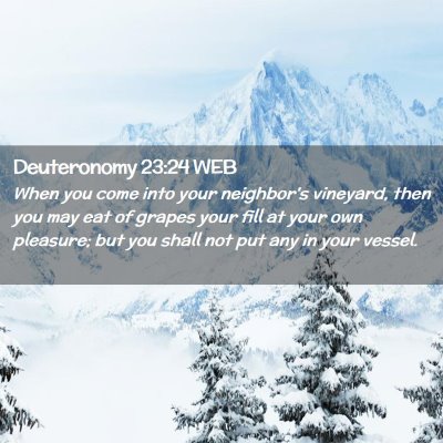 Picture 02 - Deuteronomy 23:24 WEB - When you come into your neighbor's vineyard, then - Bible Verse Picture