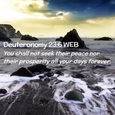 Picture 02 - Deuteronomy 23:6 WEB - You shall not seek their peace nor their - Bible Verse Picture