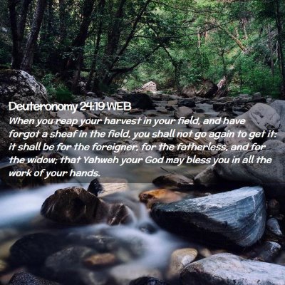 Picture 02 - Deuteronomy 24:19 WEB - When you reap your harvest in your field, and - Bible Verse Picture