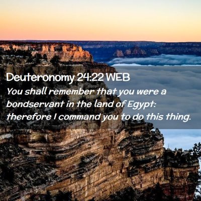Picture 02 - Deuteronomy 24:22 WEB - You shall remember that you were a bondservant in - Bible Verse Picture