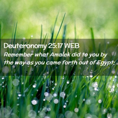 Picture 02 - Deuteronomy 25:17 WEB - Remember what Amalek did to you by the way as you - Bible Verse Picture