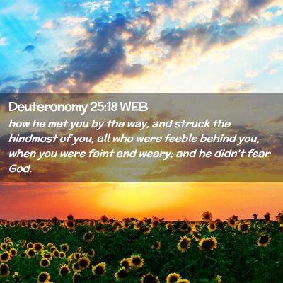 Picture 02 - Deuteronomy 25:18 WEB - how he met you by the way, and struck the - Bible Verse Picture