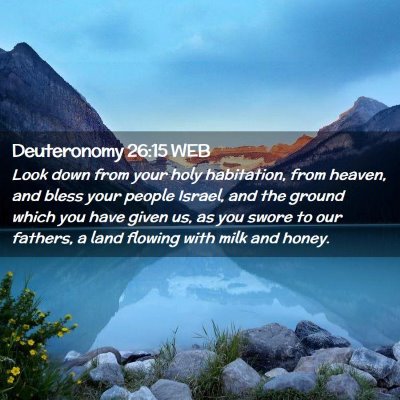 Picture 02 - Deuteronomy 26:15 WEB - Look down from your holy habitation, from heaven, - Bible Verse Picture