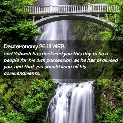 Picture 02 - Deuteronomy 26:18 WEB - and Yahweh has declared you this day to be a - Bible Verse Picture